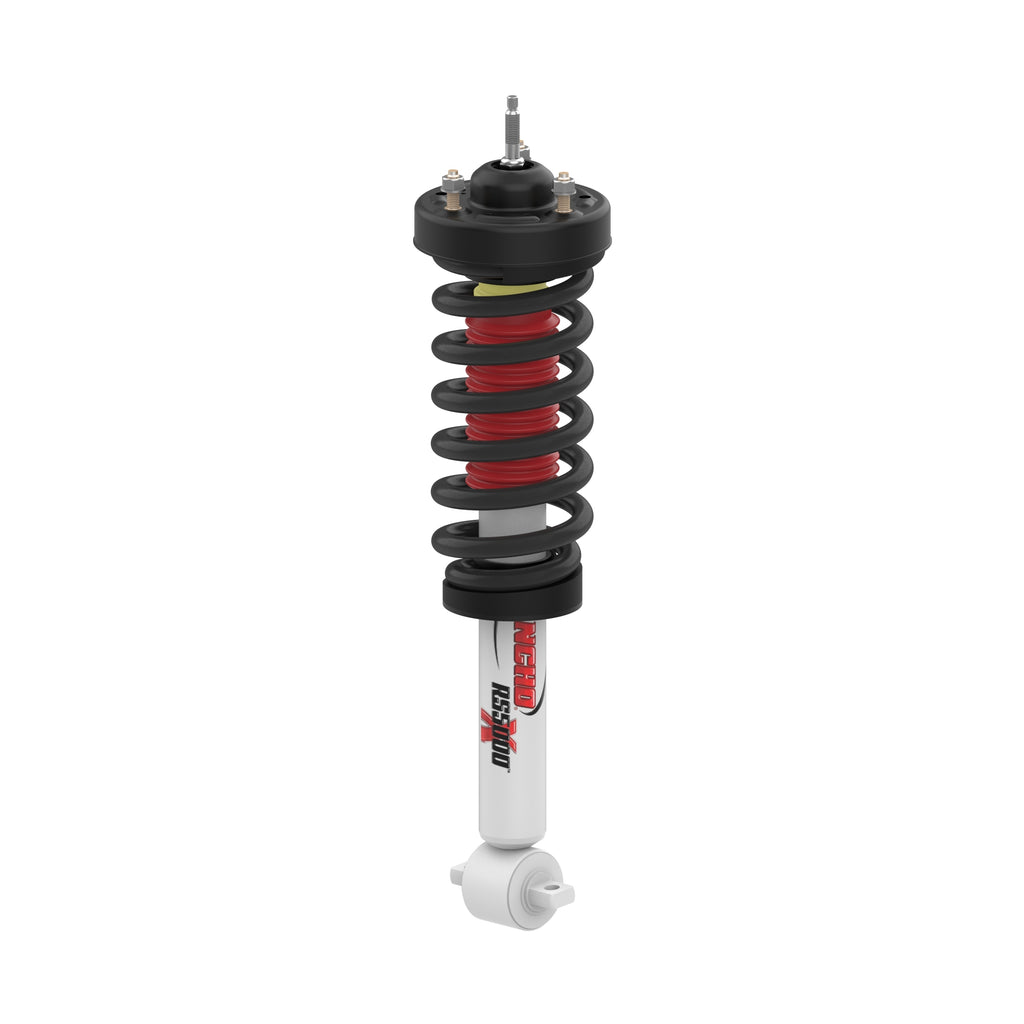RANRS551836L.jpg