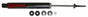 RANRS77055.jpg
