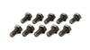 RAT1303.jpg