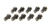 RAT1316.jpg