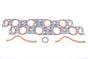 SCE235101.jpg