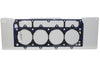 SCECR192051L.jpg