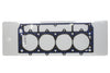 SCECR192059L.jpg