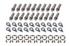 SGE8909.jpg