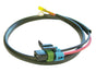 SPAFR-PT15300027.jpg