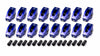 SPN1004.jpg