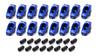 SPN1050.jpg