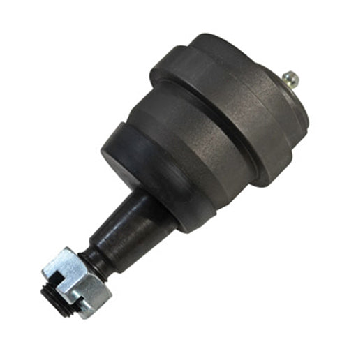 SPP23520.jpg
