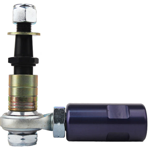 STD555-8106.jpg