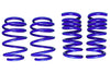 STD555-8243.jpg