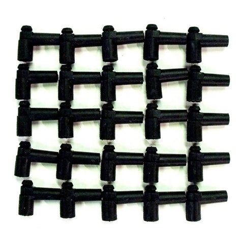TAY44056.jpg