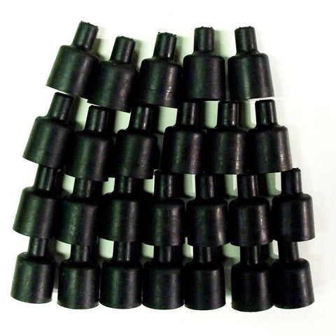TAY44076.jpg
