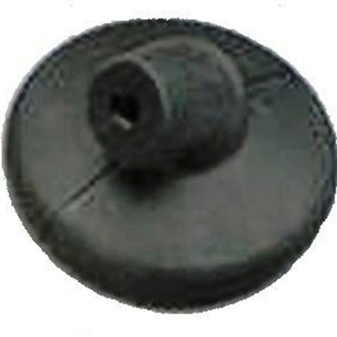 TAY44300.jpg