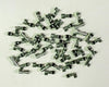 TAY44399.jpg