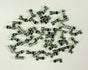 TAY44399.jpg