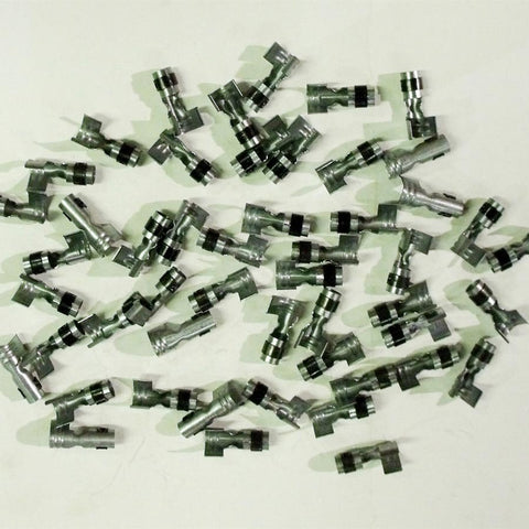 TAY44399.jpg