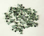 TAY44409.jpg