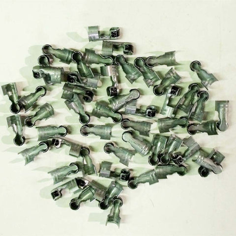 TAY44409.jpg