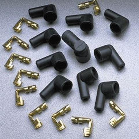 TAY46057.jpg