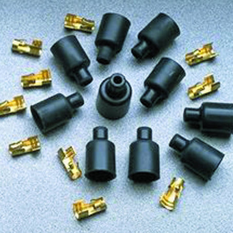 TAY46059.jpg