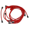 TAY74205.jpg