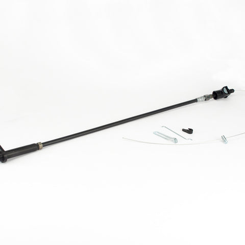 TCI376800.jpg