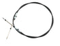 TCI850800.jpg