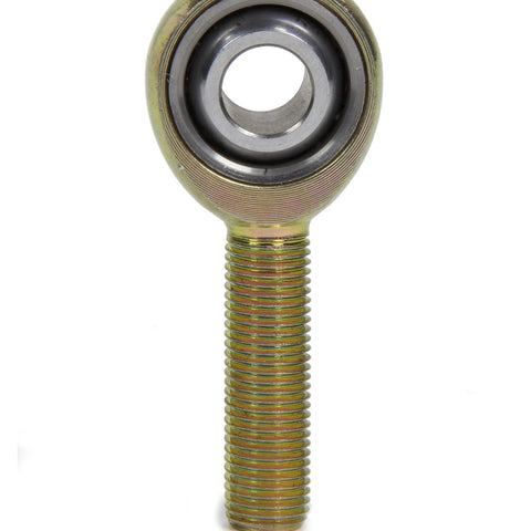 TIP3751.jpg