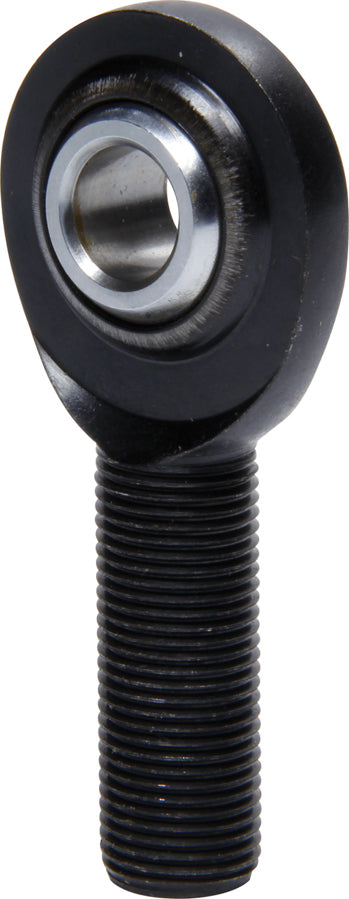TIP8261.jpg