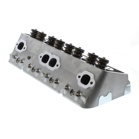 TRFTFS-30210003.jpg