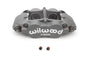 WIL120-13827.jpg