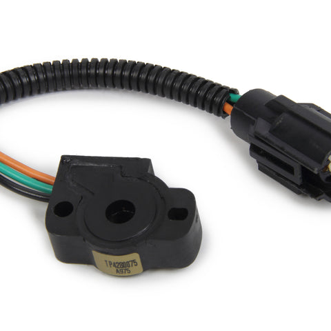 WLS488201.jpg